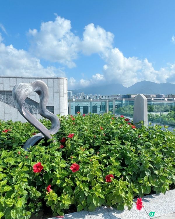 天空平台打卡必到酒店🏨