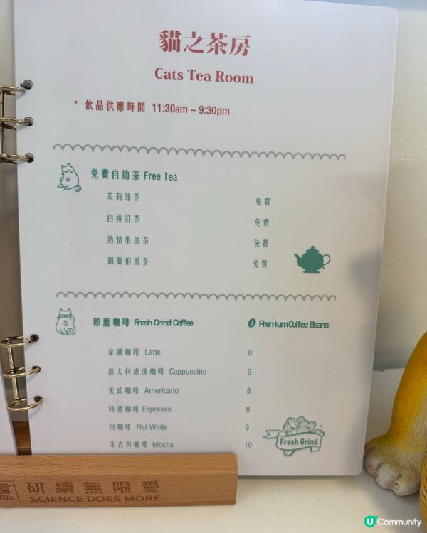 放假去吸貓！🐈💨 荃灣貓之茶房
