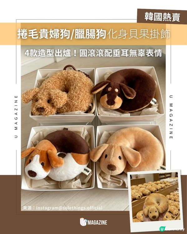 捲毛貴婦狗/臘腸狗化身貝果掛飾！🥯