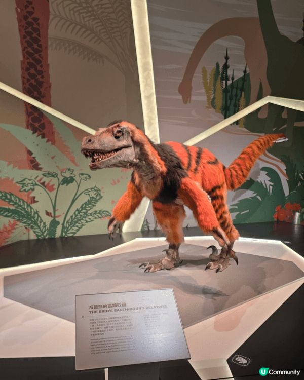 香港科學館有恐龍展出！天氣咁熱除左入黎涼下冷氣仲可以學下科普...