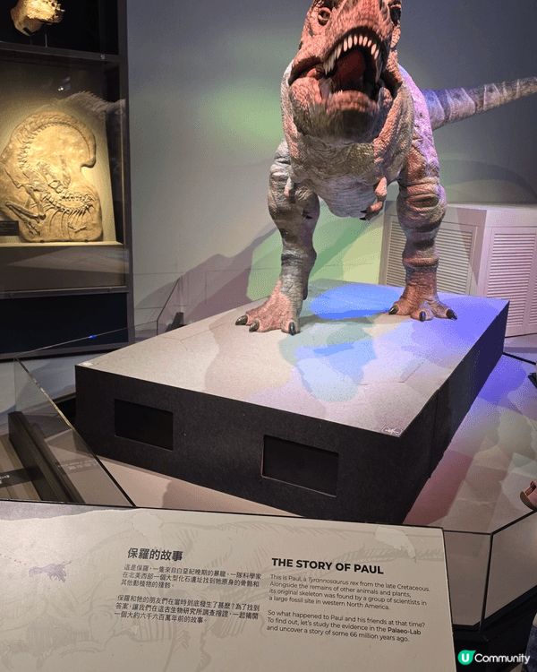 香港科學館有恐龍展出！天氣咁熱除左入黎涼下冷氣仲可以學下科普...