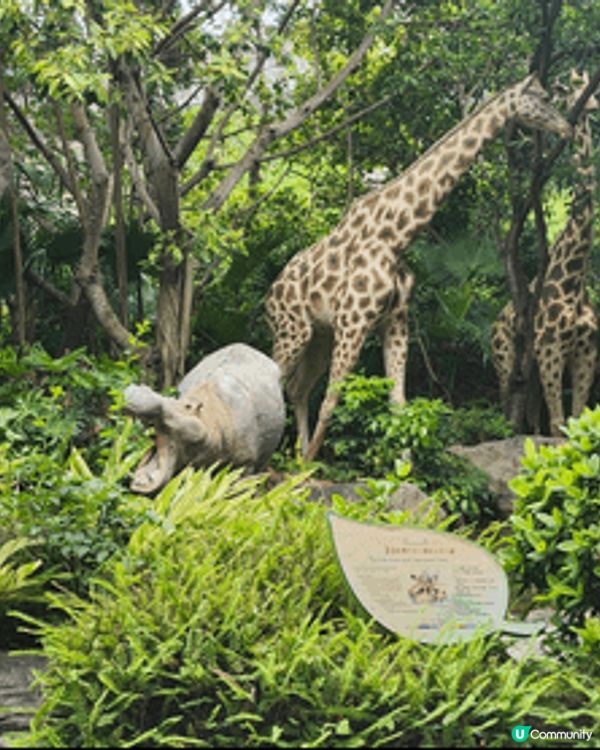 挪亞方舟絕對是香港一個好適合帶小朋友放電的室內+室外主題公園...