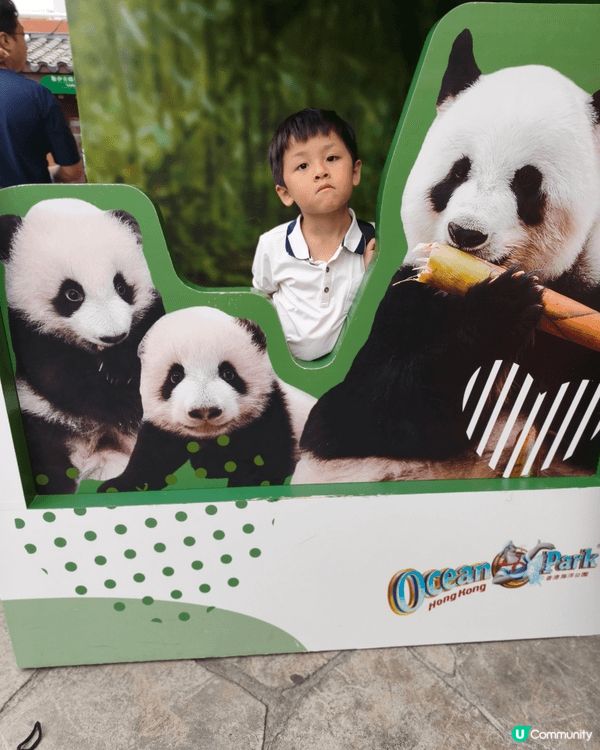 真心推介海洋公園做親子好去處既地方係因為本身海洋公園就係一個...