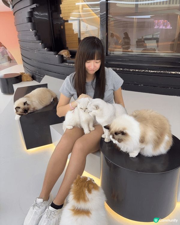最近北上發掘到一個超治癒嘅好地方😻 就係位於深圳灣 K11 ...