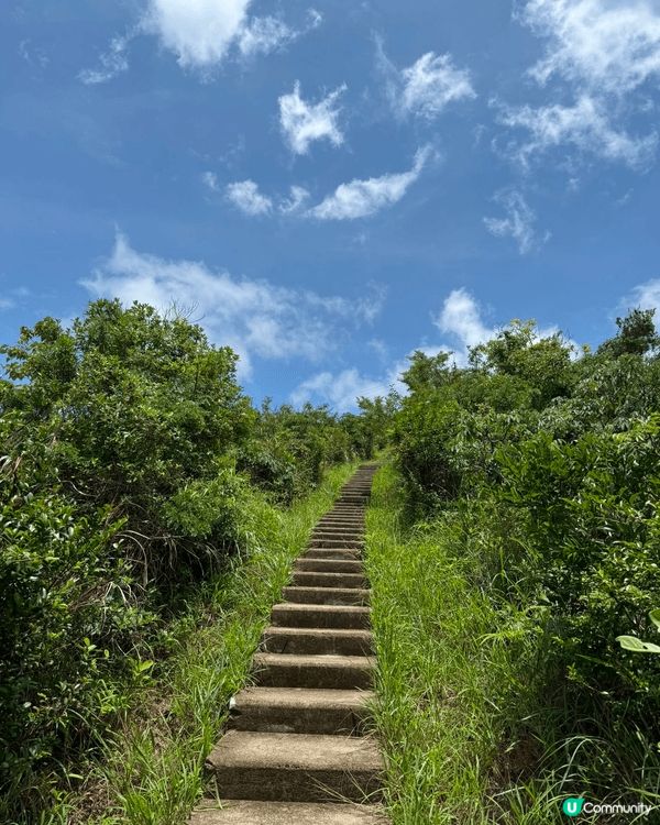 由青嶼幹線轉車站出發，拾級登上花瓶頂，細賞花瓶石之趣，最後經...