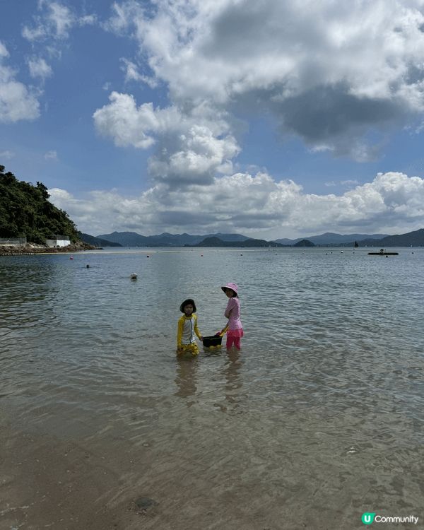 陽光普照的一天、珠海日月貝、可愛潔白的蒲公英。