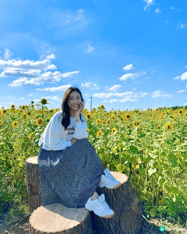 拍照是最能夠記錄甜蜜記憶，曾經到過嘅地點及美食通通都透過照片...