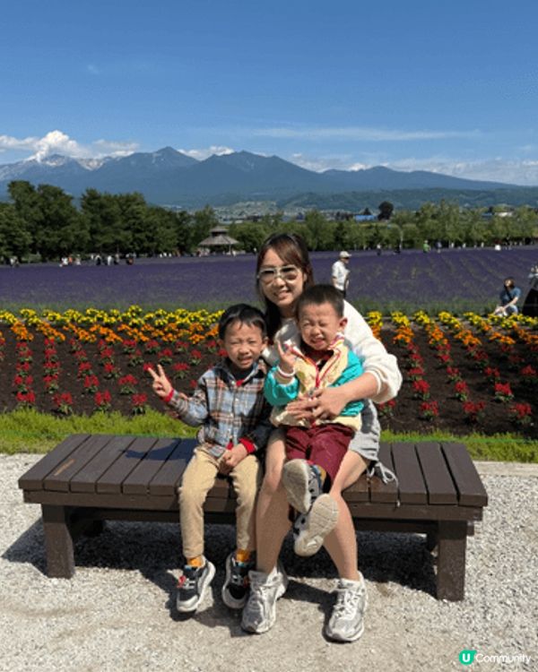🌸富良野｜富田農場Farm Tomita。