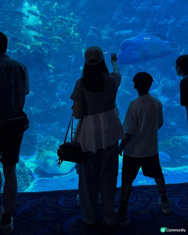 同小朋友去咗海洋公園睇魚，水族館入邊有冷氣好舒服，媽咪都好鍾...