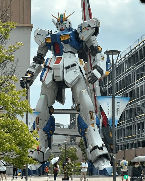 Donki Japan 是我最喜愛的和服版和代表好友磁石版玉...