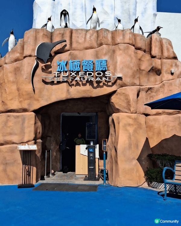 chill賞去大熊貓生日派對，ocean park 