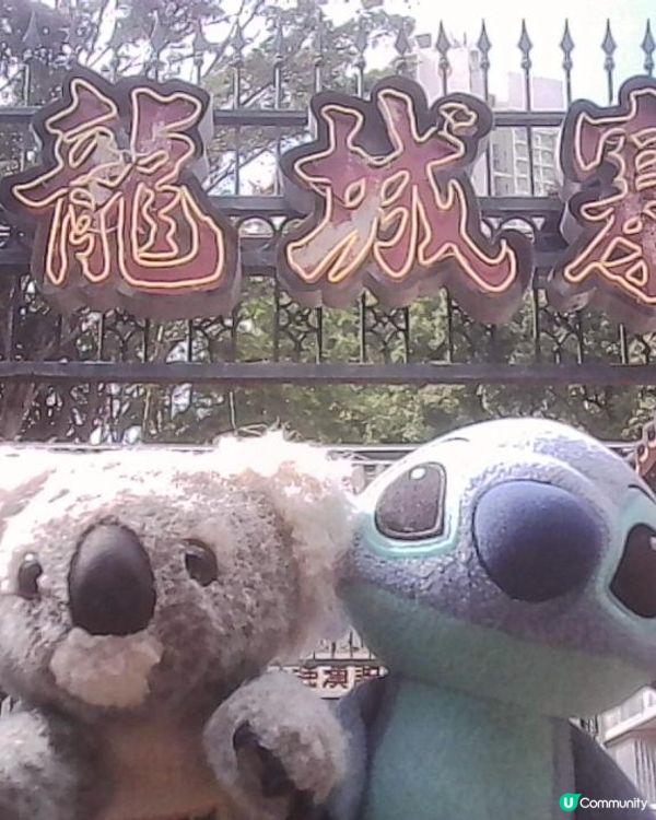 九龍城寨光影之旅 - Travel Buddy 相集