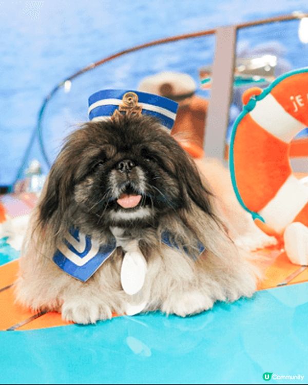 炎炎夏日嚟到海港城Jellycat專門店，小小船長登上Jel...