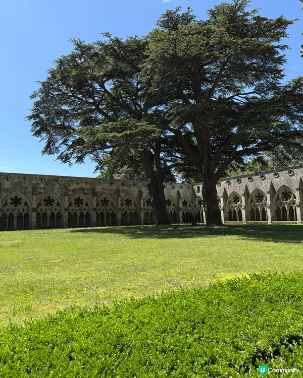 這是Salisbury Cathedral，不算超級宏偉，但...