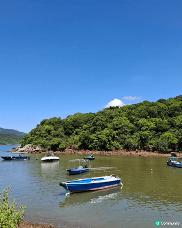 塔門玩一日真係一個放鬆心情嘅好選擇！嗰度有齊大草地、無敵海景...