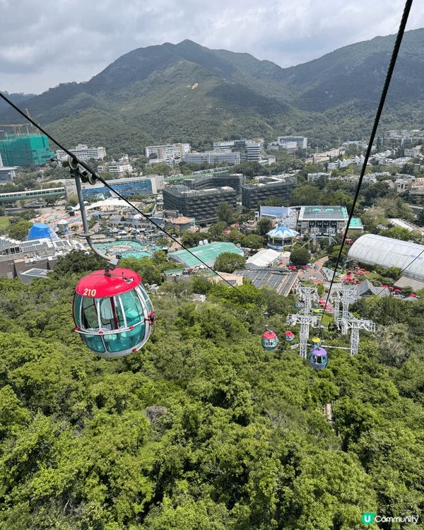 夏天嘅海洋公園，雖然好熱，但係都好好玩，仲可以睇企鵝、鯊魚涼...