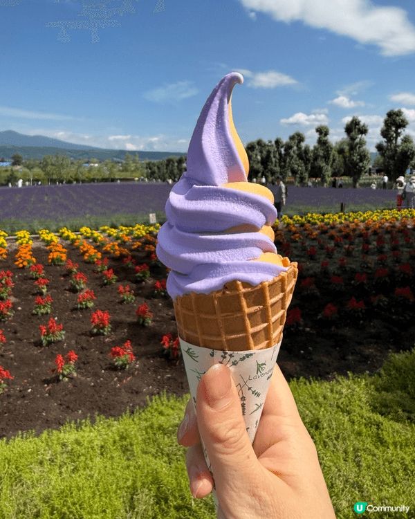 🌸富良野｜富田農場Farm Tomita。