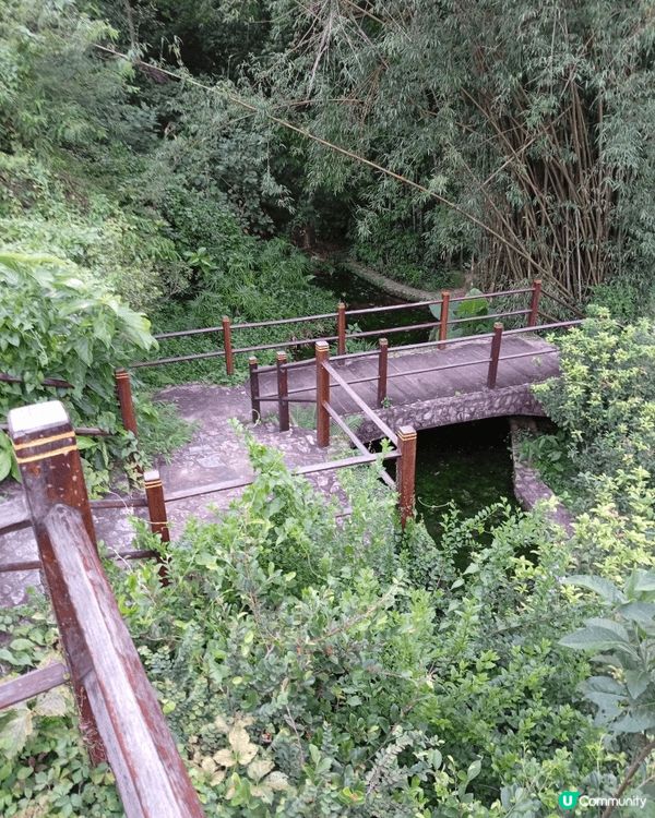 天氣好大埔行下親親大自然，松仔園仲有機會睇到螢火蟲架。