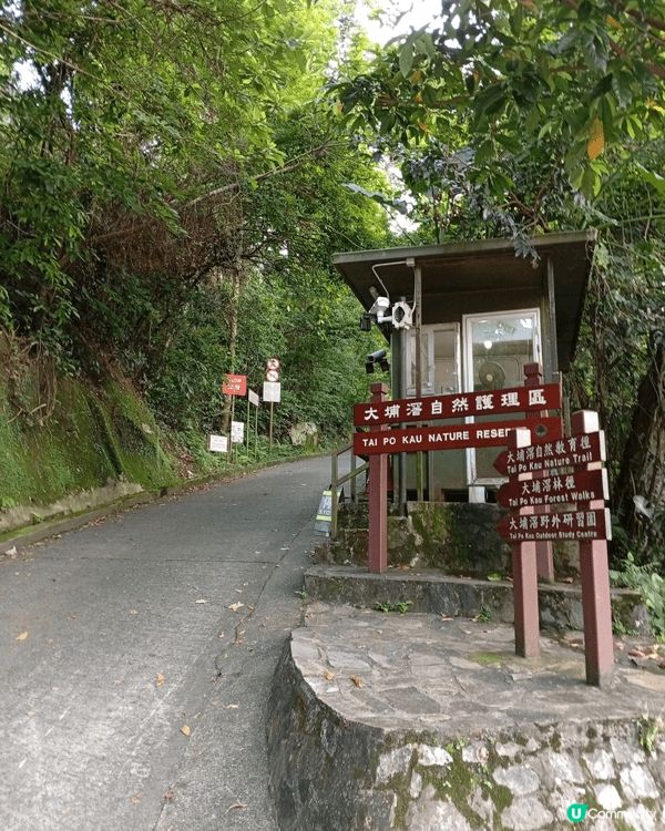 天氣好大埔行下親親大自然，松仔園仲有機會睇到螢火蟲架。
