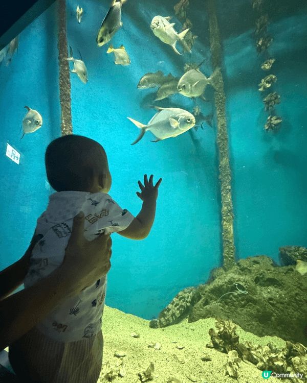 海洋公園，小朋友去親都好開心
