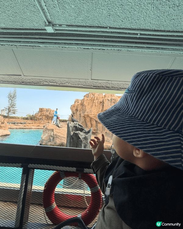 海洋公園，小朋友去親都好開心