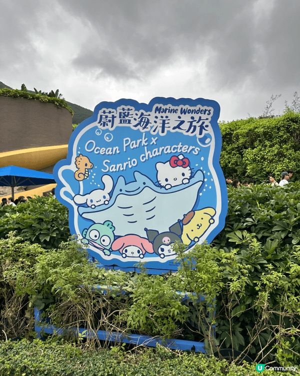 好耐無去海洋公園 多左好多Sanrio卡通人物 好多打卡位 ...
