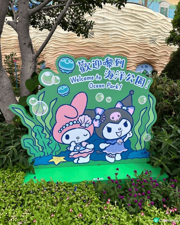 好耐無去海洋公園 多左好多Sanrio卡通人物 好多打卡位 ...