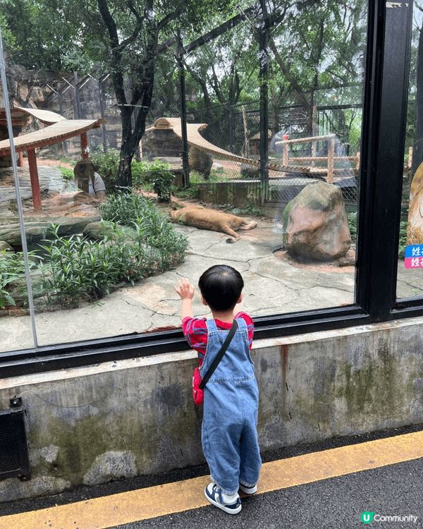 沙灘海風吹的感覺特別清涼，可以玩沙砌城堡，去動物園睇動物，夏...