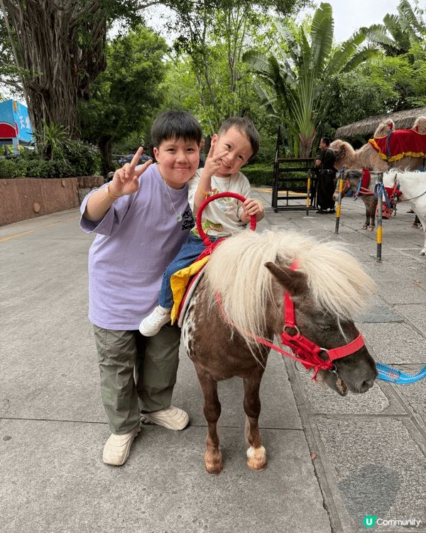 爸爸放假，family’s day trip去深圳野生動物園...
