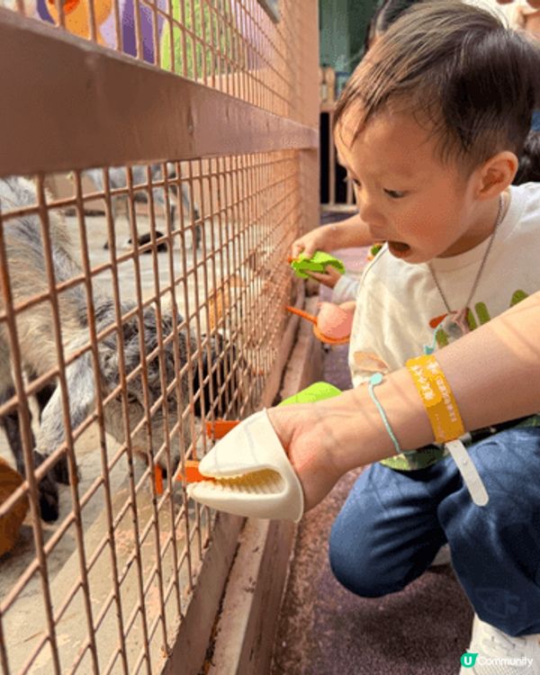 爸爸放假，family’s day trip去深圳野生動物園...