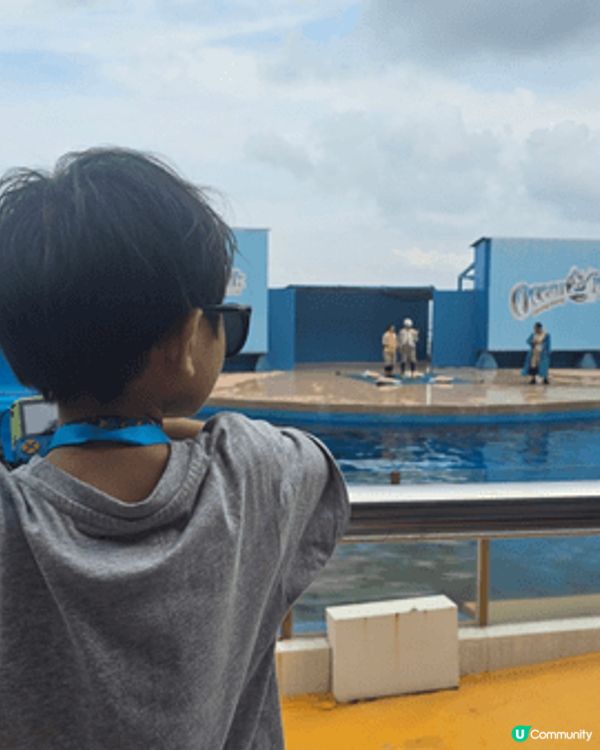 海洋公園係我細個最鍾意去既地方，依家做左媽媽都想小朋友過黎認...