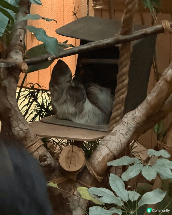 海洋公園去多幾次都唔悶；因為有好多各弍各樣海洋生物及各種動物...
