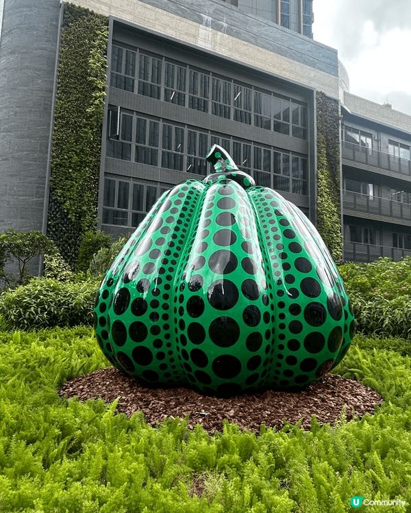 看星座小王子展覽，認識好多個去星座小王子嘅生平～
