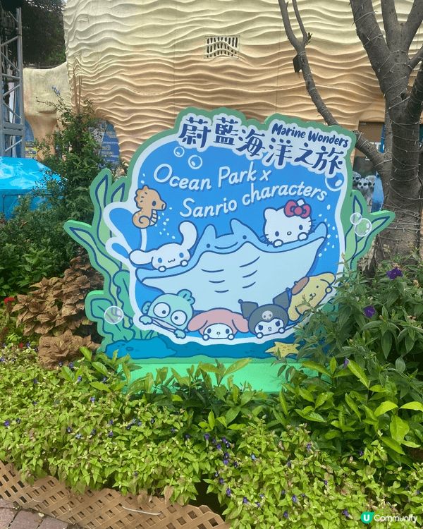 上一次去海洋公園點落足全日雨，好唔開心，九成室外機動遊戲都玩...