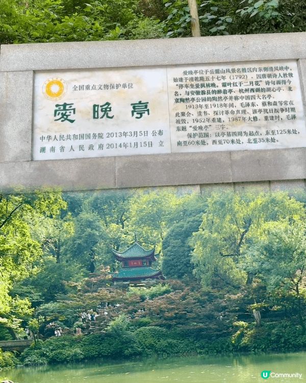 🌞 六月盛夏，我走上岳麓山，沿途樹蔭濃密，微風夾雜蟬鳴，帶來...