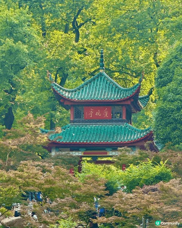 🌞 六月盛夏，我走上岳麓山，沿途樹蔭濃密，微風夾雜蟬鳴，帶來...