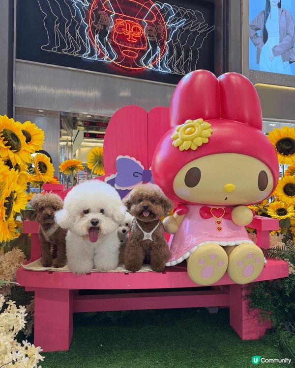 元朗YOHO而家有限定summer event x Sanr...