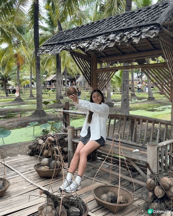 📍清邁椰林集市coconut market 🌴