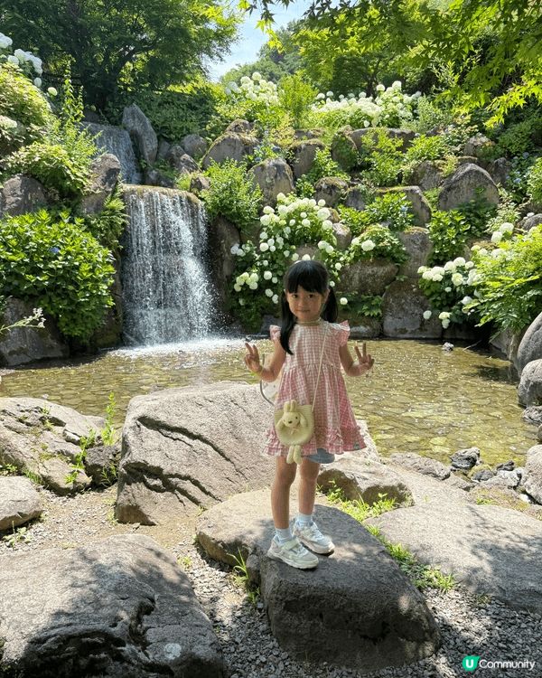 日本山梨縣睇富士山唔係淨係冬天先啱嘅，就好似呢個「花之都公園...