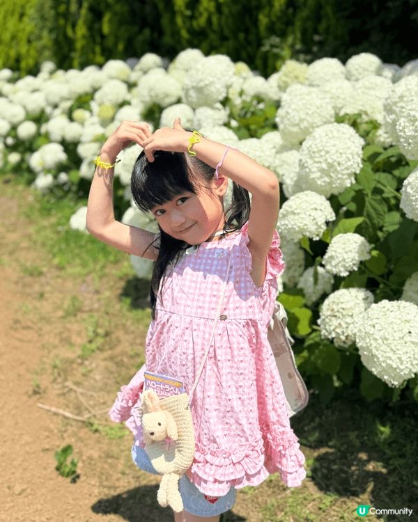 日本山梨縣睇富士山唔係淨係冬天先啱嘅，就好似呢個「花之都公園...
