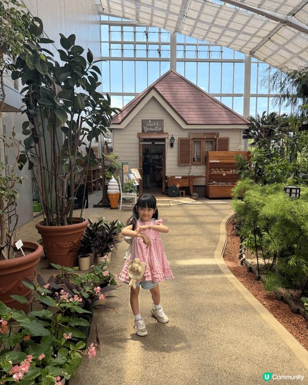 日本山梨縣睇富士山唔係淨係冬天先啱嘅，就好似呢個「花之都公園...