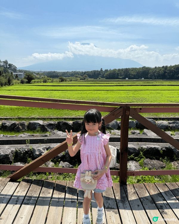 日本山梨縣睇富士山唔係淨係冬天先啱嘅，就好似呢個「花之都公園...