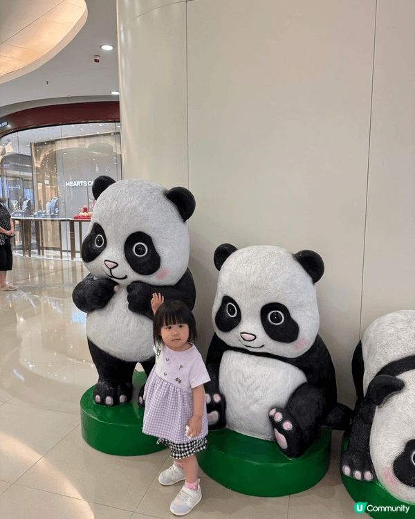 呢個兩歲bb佢真係好鍾意熊貓，每次係街經過見到熊貓都好興奮，...