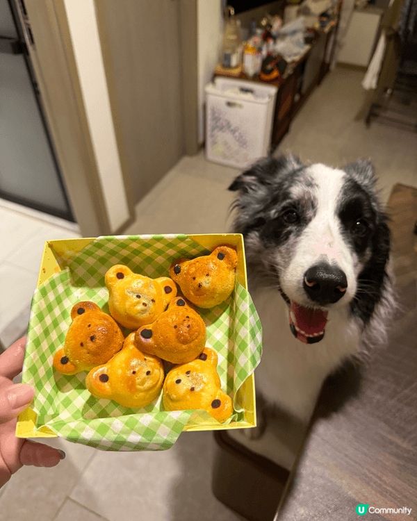 1. a box of cute bear-shaped b...