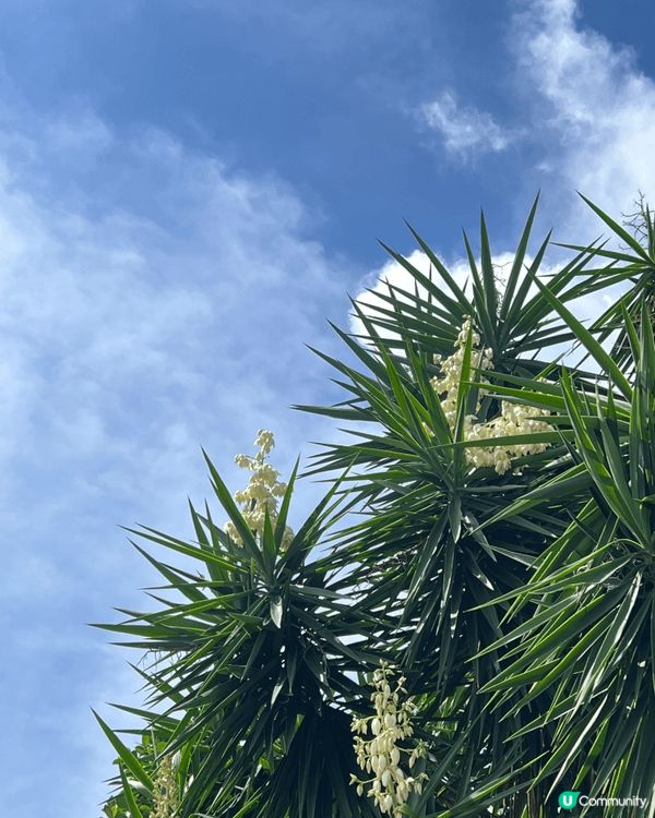 剛剛入夏嘅時候就去左位於上水嘅塱原自然生態公園！呢度可以睇到...