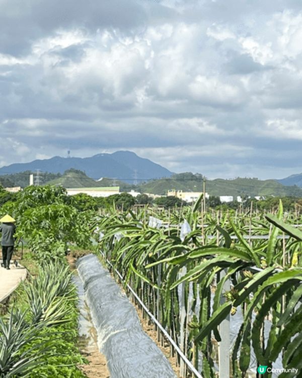 剛剛入夏嘅時候就去左位於上水嘅塱原自然生態公園！呢度可以睇到...