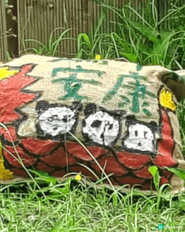 大連三寶通常是指居住在大連森林動物園的三隻超人氣大貓熊：金虎...