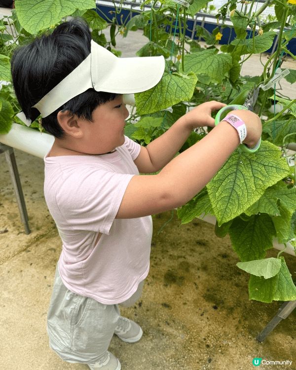 放假時，和家人一起去了沙頭角禾田喜山玩，那是一個大型戶外親子...