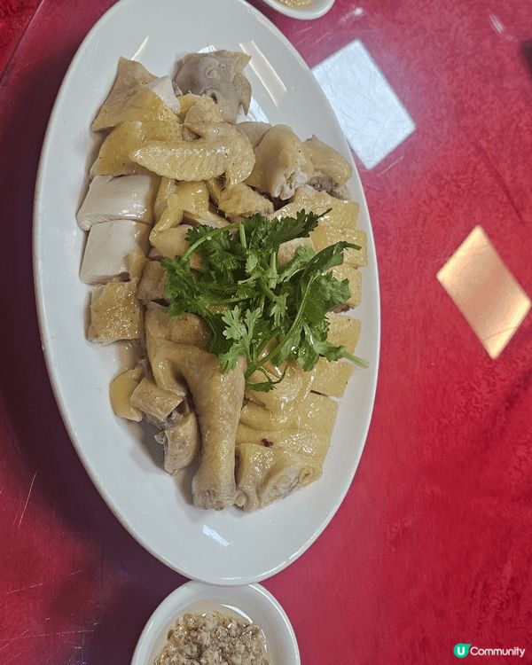 九龍城酒店，大碟，份量多，味道好，新裝修，乾淨。
