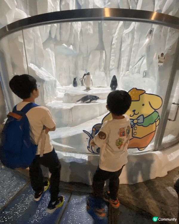 海洋公園係香港歷史悠久且最具代表性的非牟利主題樂園，結合了海...